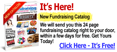 good ideas for school fundraisers info kit